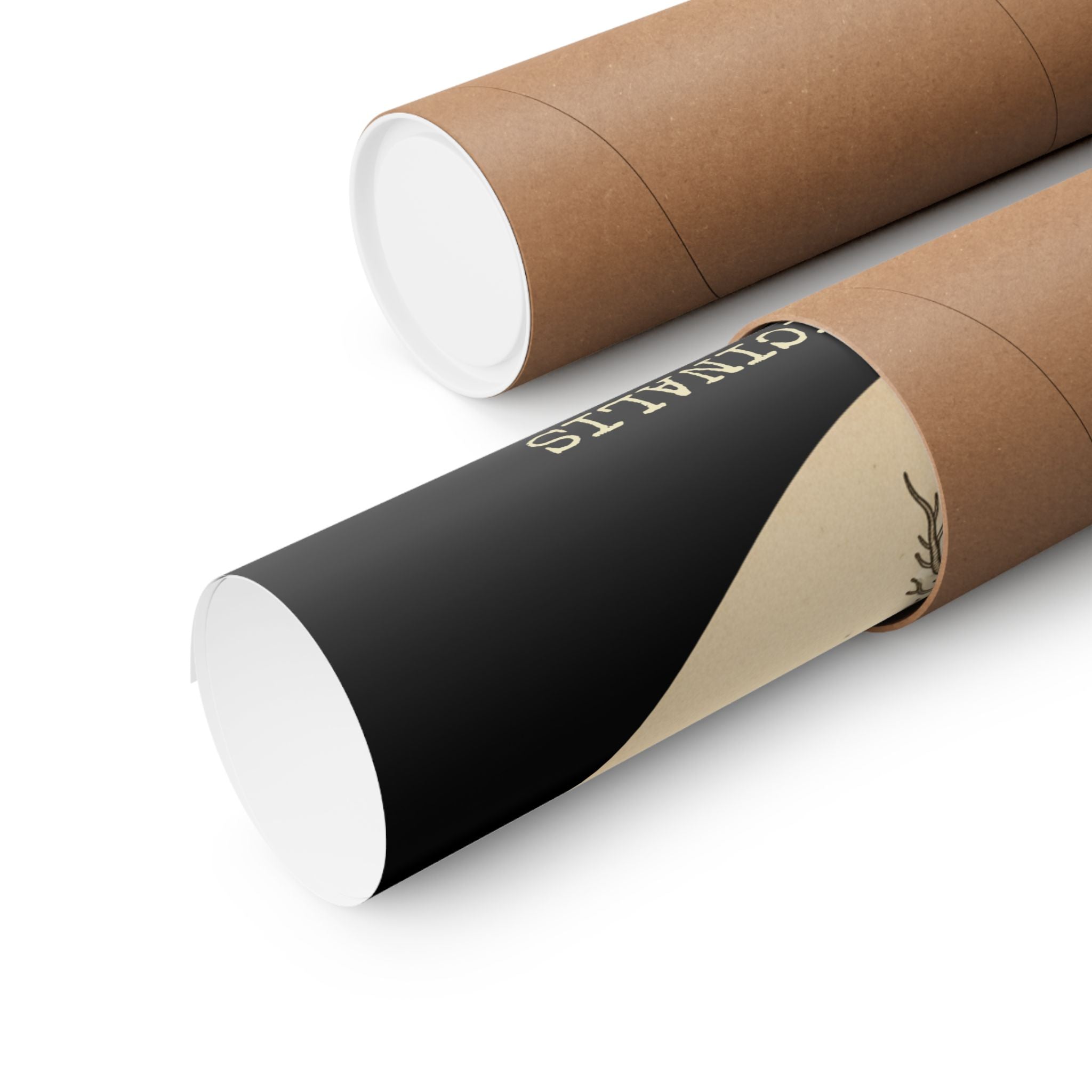 Vintage Valerian Root Poster | Dark Academia Decor | Biohacker Sleep Protocol Art | Medicinal Herb Botanical Print