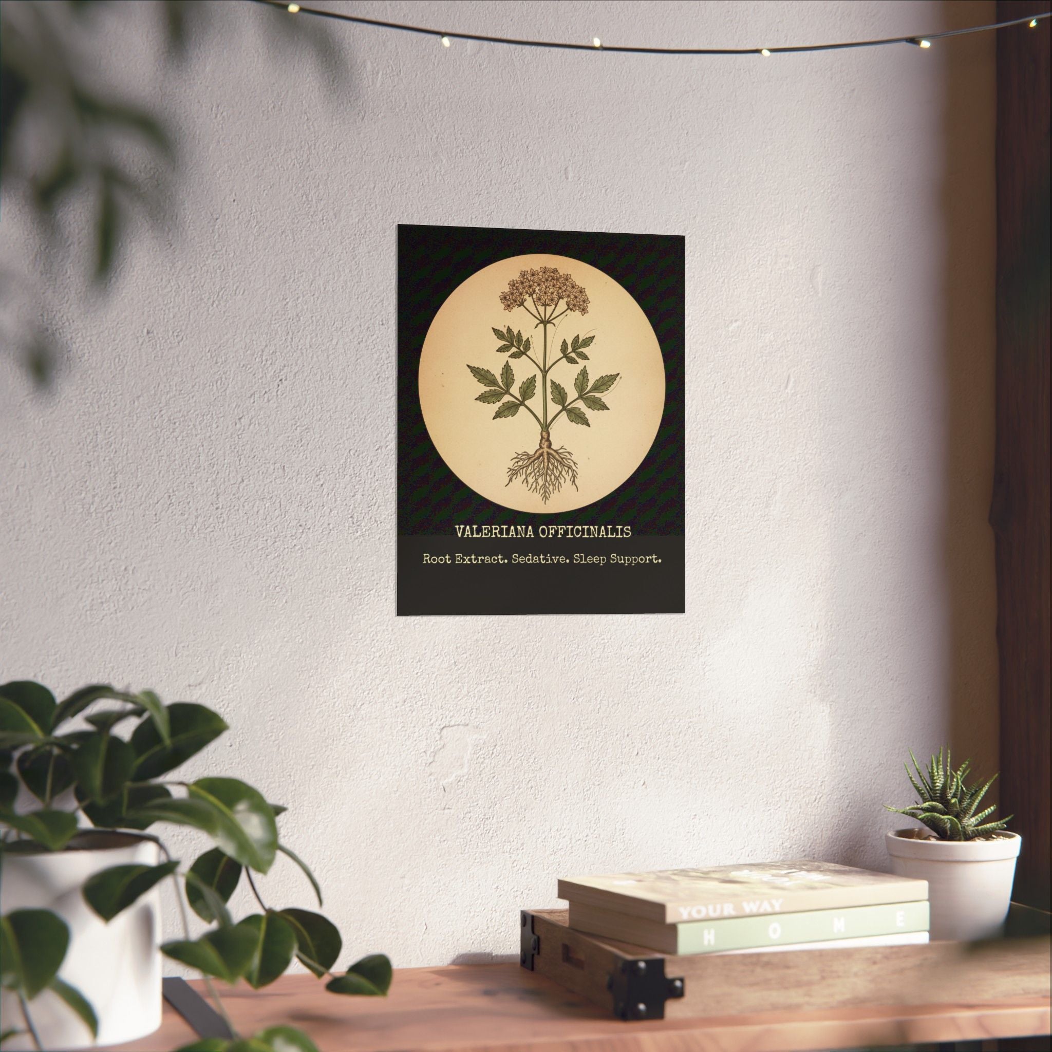 Vintage Valerian Root Poster | Dark Academia Decor | Biohacker Sleep Protocol Art | Medicinal Herb Botanical Print